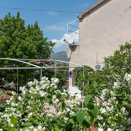 Apartment Fani Trogir