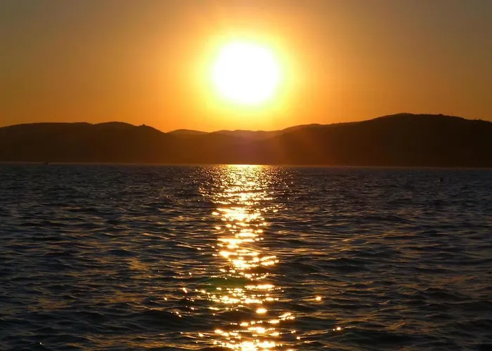 Fani Trogir